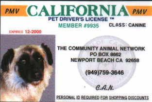 Pet Driver's License- Dog1